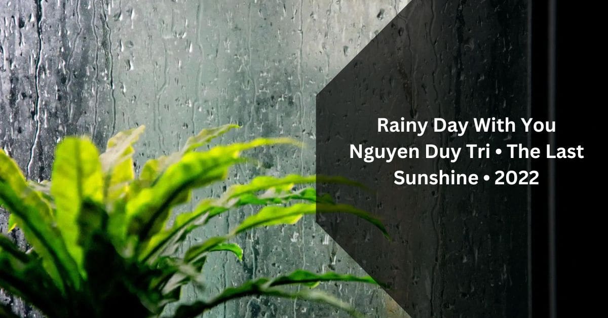Rainy Day With You Nguyen Duy Tri • The Last Sunshine • 2022