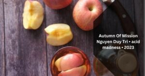 Autumn Of Mission Nguyen Duy Tri • acid madness • 2023