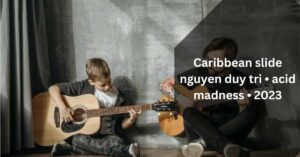 Caribbean slide nguyen duy tri • acid madness • 2023