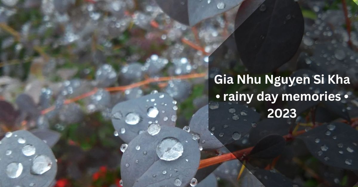 Gia Nhu Nguyen Si Kha • rainy day memories • 2023