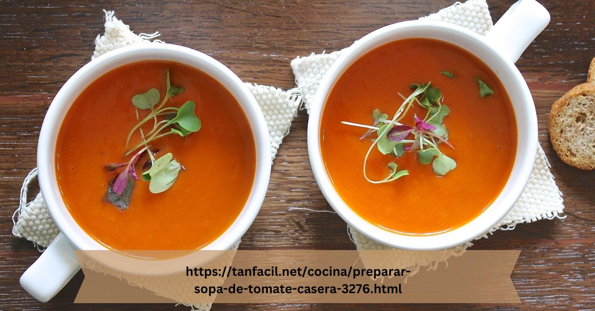 https://tanfacil.net/cocina/preparar-sopa-de-tomate-casera-3276.html